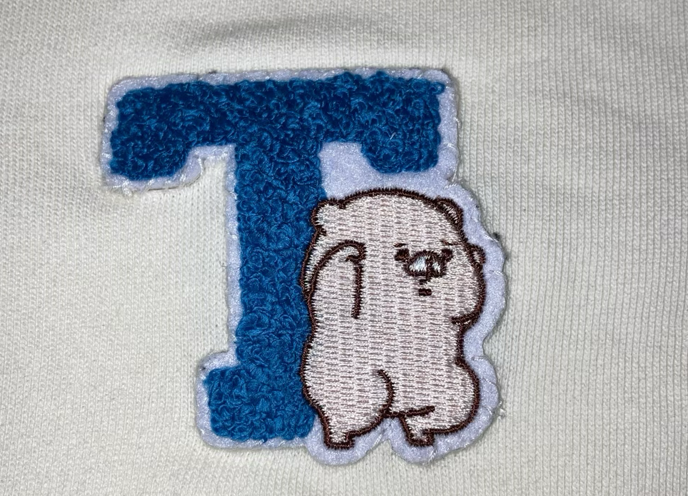 ワッペンの写真